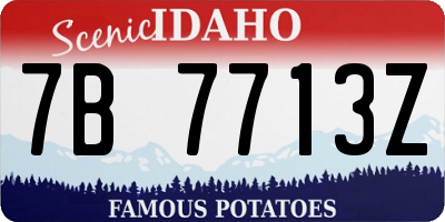 ID license plate 7B7713Z