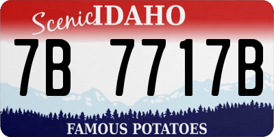 ID license plate 7B7717B