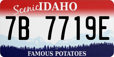 ID license plate 7B7719E
