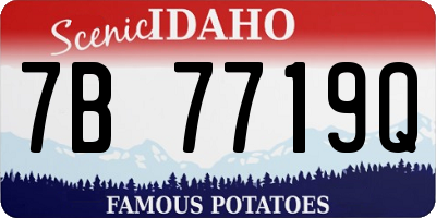 ID license plate 7B7719Q