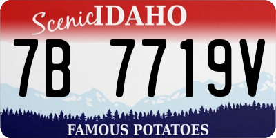 ID license plate 7B7719V