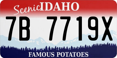 ID license plate 7B7719X