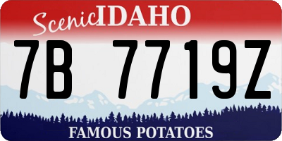 ID license plate 7B7719Z