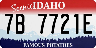 ID license plate 7B7721E