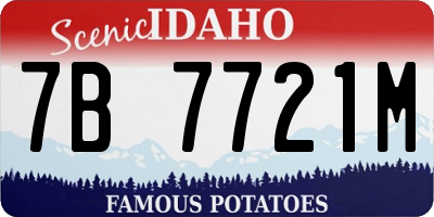 ID license plate 7B7721M