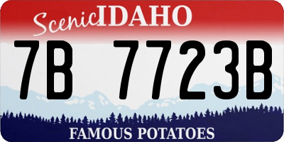 ID license plate 7B7723B