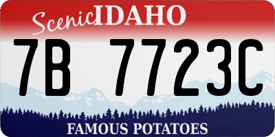 ID license plate 7B7723C