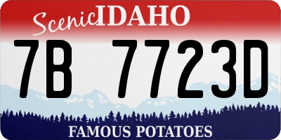 ID license plate 7B7723D