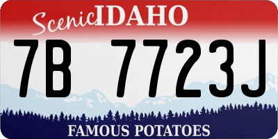 ID license plate 7B7723J