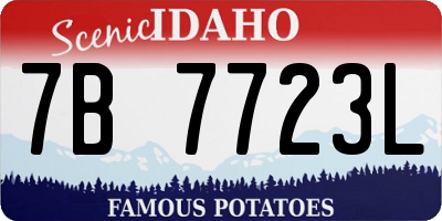 ID license plate 7B7723L