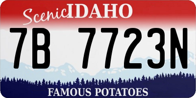 ID license plate 7B7723N