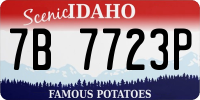 ID license plate 7B7723P