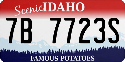 ID license plate 7B7723S
