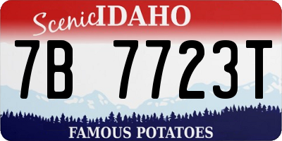 ID license plate 7B7723T