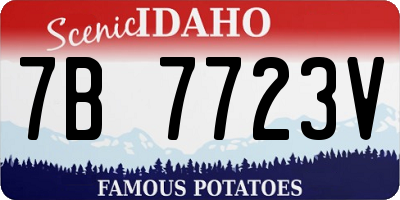 ID license plate 7B7723V