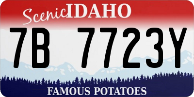 ID license plate 7B7723Y