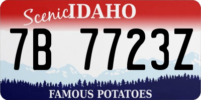 ID license plate 7B7723Z