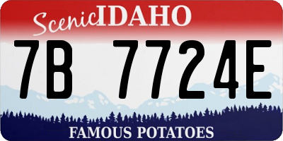 ID license plate 7B7724E
