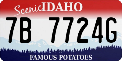 ID license plate 7B7724G
