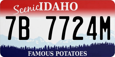 ID license plate 7B7724M