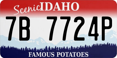 ID license plate 7B7724P