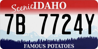 ID license plate 7B7724Y