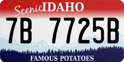 ID license plate 7B7725B