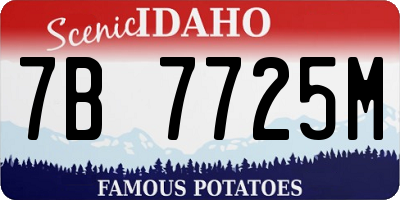 ID license plate 7B7725M