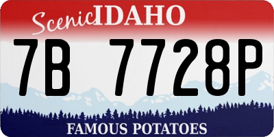 ID license plate 7B7728P