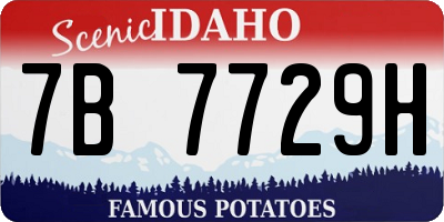 ID license plate 7B7729H