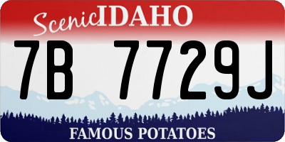 ID license plate 7B7729J