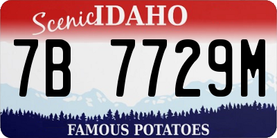 ID license plate 7B7729M