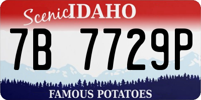 ID license plate 7B7729P