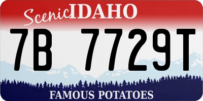 ID license plate 7B7729T