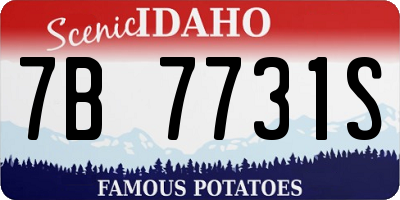 ID license plate 7B7731S