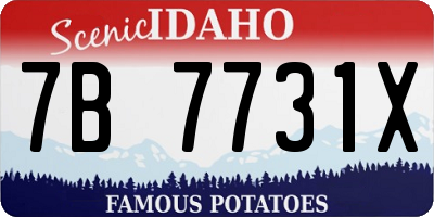 ID license plate 7B7731X