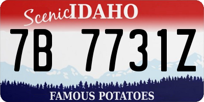 ID license plate 7B7731Z