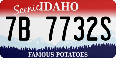 ID license plate 7B7732S
