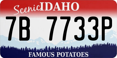 ID license plate 7B7733P