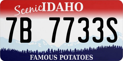 ID license plate 7B7733S