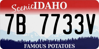 ID license plate 7B7733V