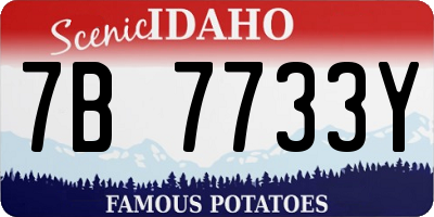ID license plate 7B7733Y