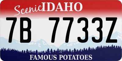ID license plate 7B7733Z