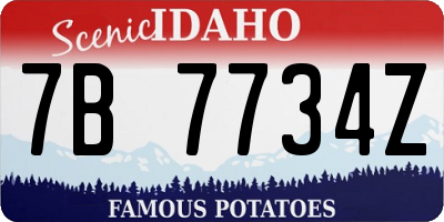 ID license plate 7B7734Z
