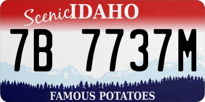 ID license plate 7B7737M