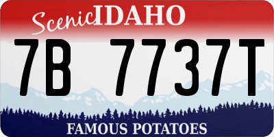 ID license plate 7B7737T