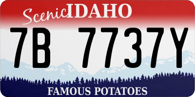 ID license plate 7B7737Y