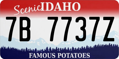 ID license plate 7B7737Z