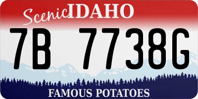 ID license plate 7B7738G