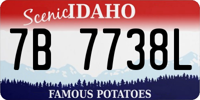 ID license plate 7B7738L